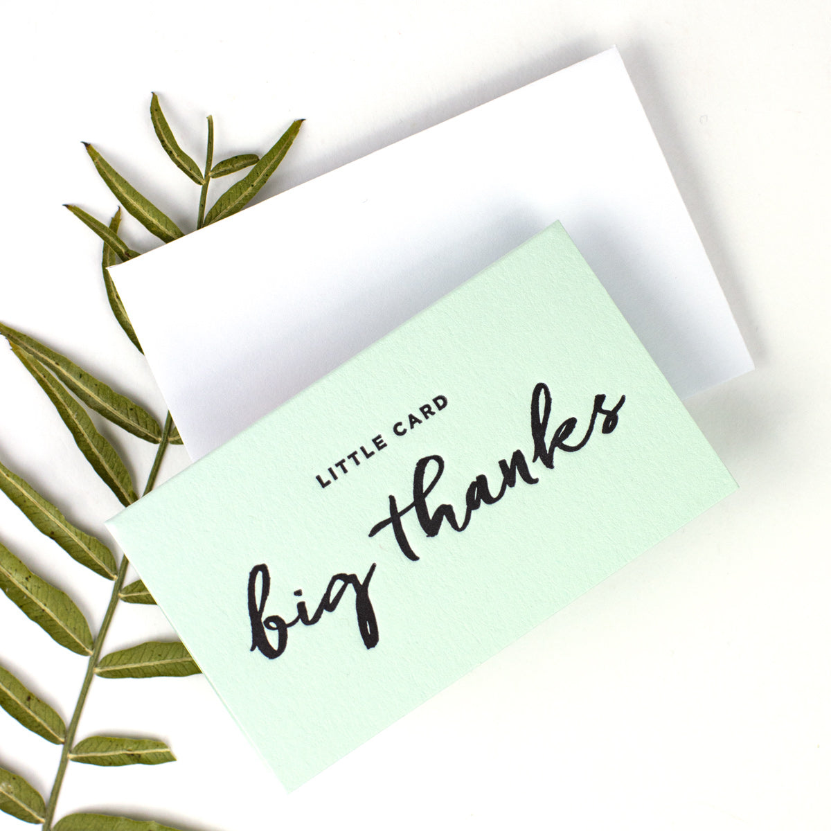Big Thanks Mini Notes - Set of 10