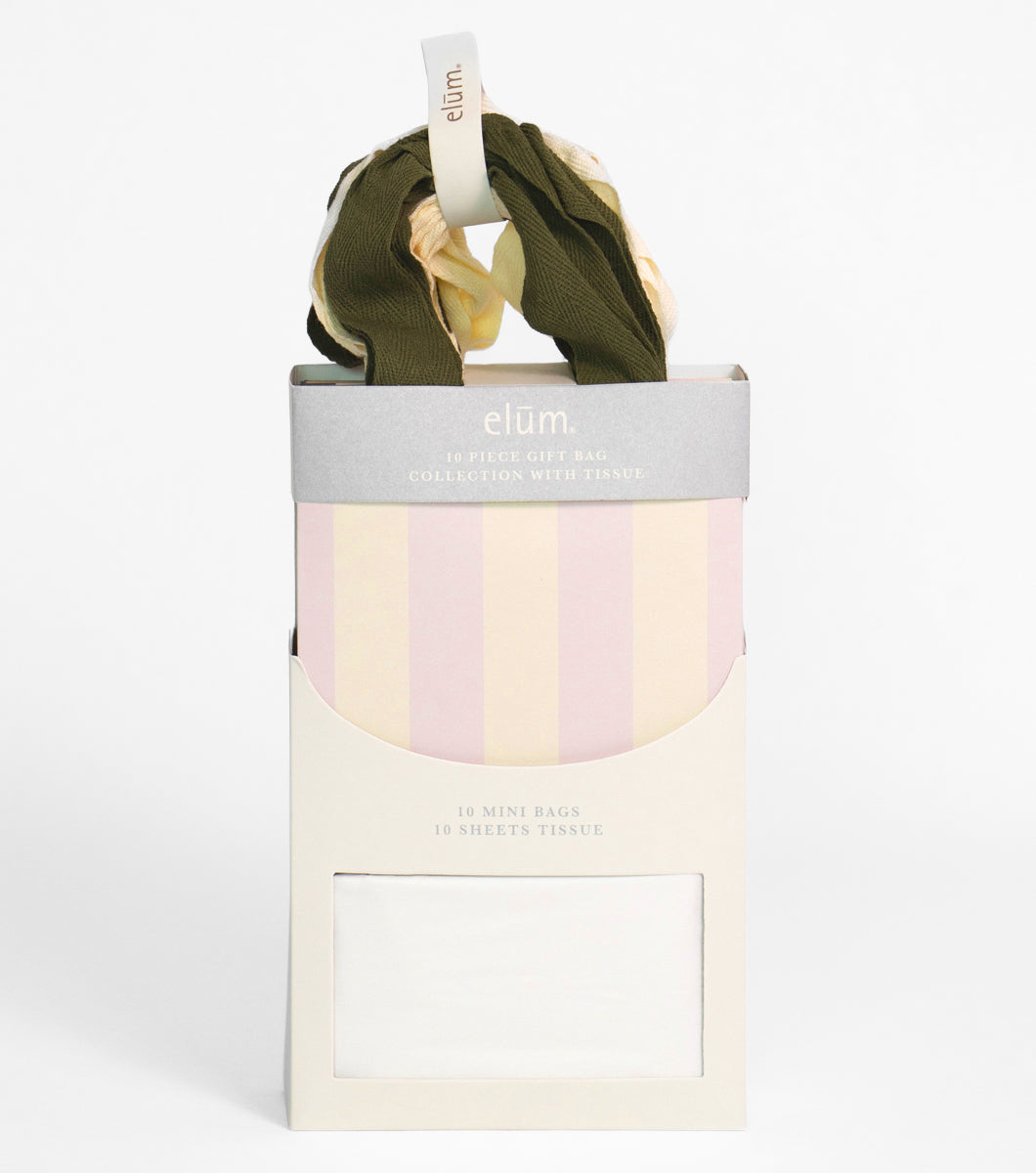 Stripe 10 Piece Gift Bag Collection with Tissue