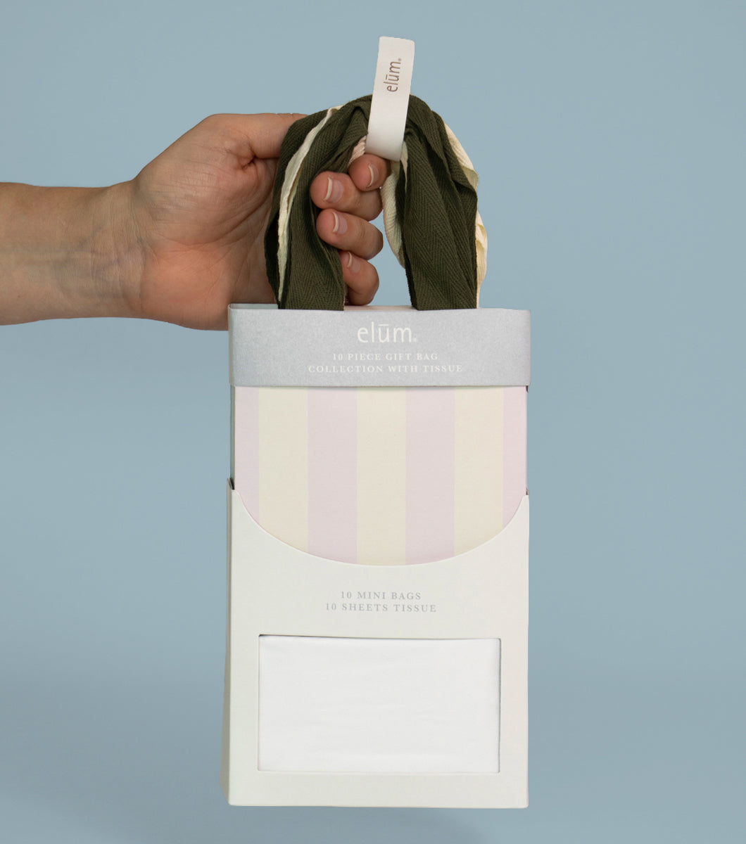 Stripe 10 Piece Gift Bag Collection with Tissue