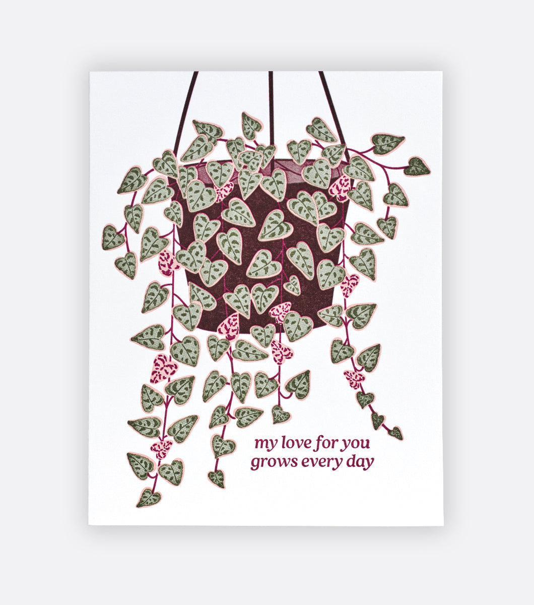 string of hearts letterpress greeting card on light gray background card features potted string of hearts plant and a message that says "my love for you grows every day"