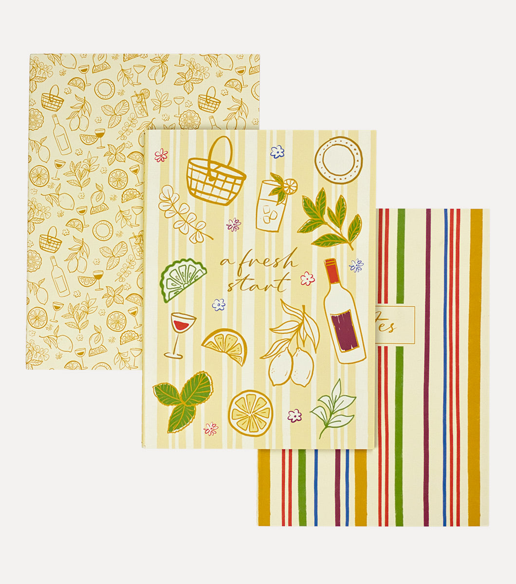 3-pack journals with fresh picnicline ddrawings and multicolor stripes