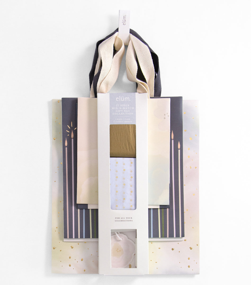 25 Piece Mix-N-Match Gift Bag Collection (Set One)