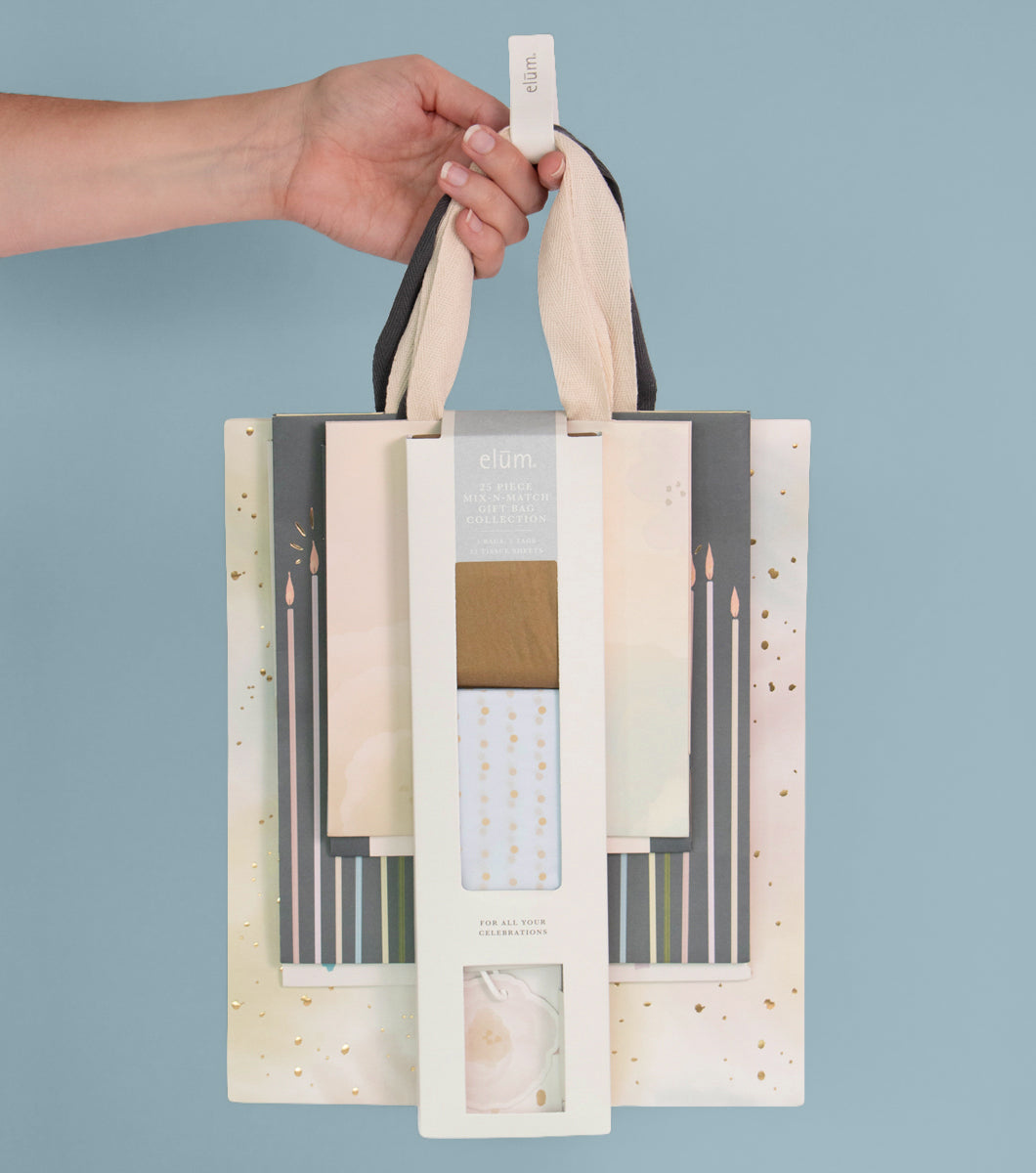 25 Piece Mix-N-Match Gift Bag Collection (Set One)