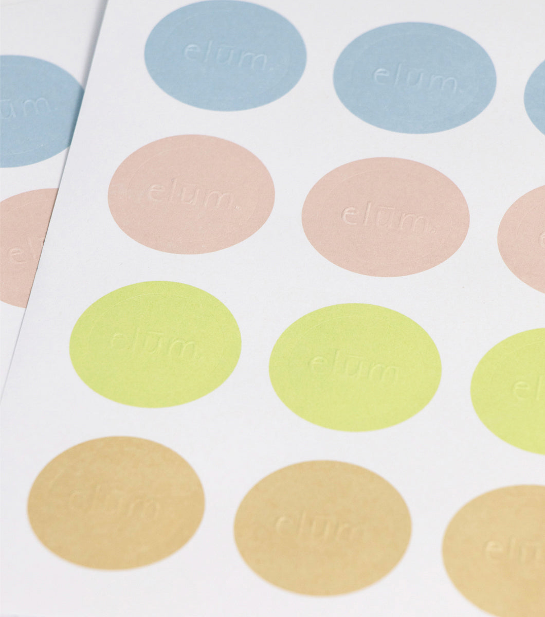 Keepsake Greeting Card Organizer