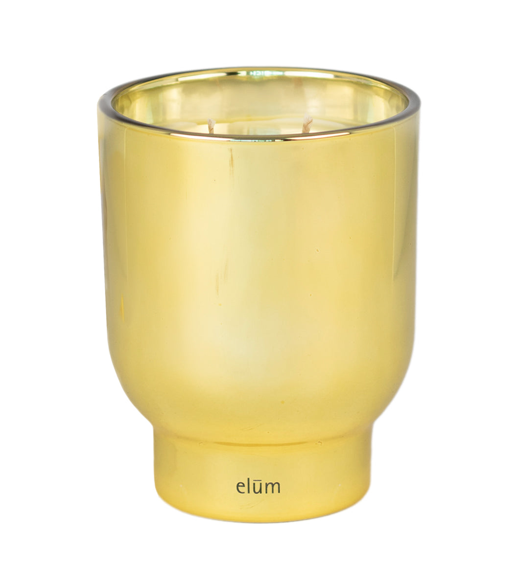 Pumpkin Creme Brulée 21 oz Maeve Glass Candle