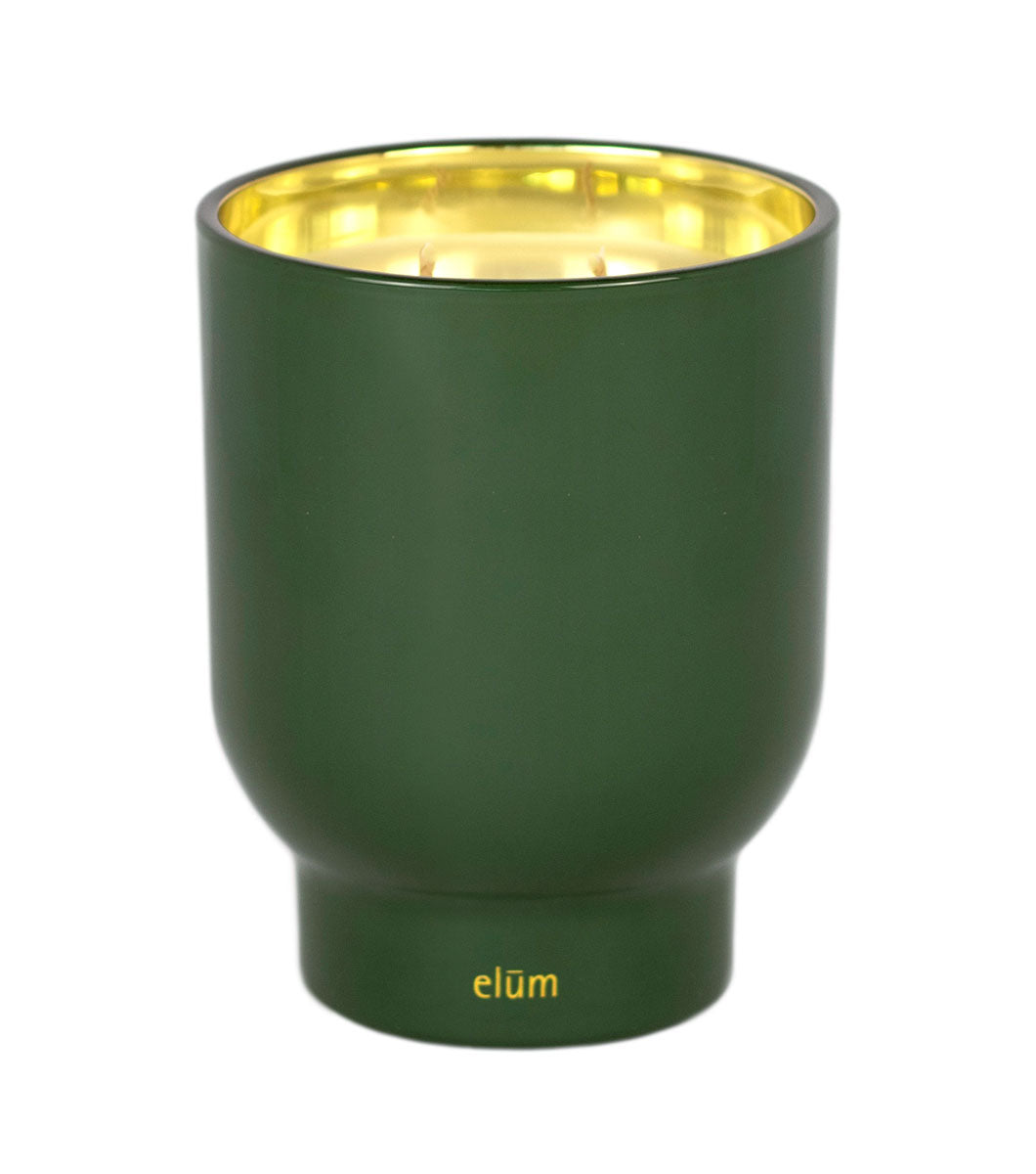 Pine & Birch 21 oz Maeve Glass Candle