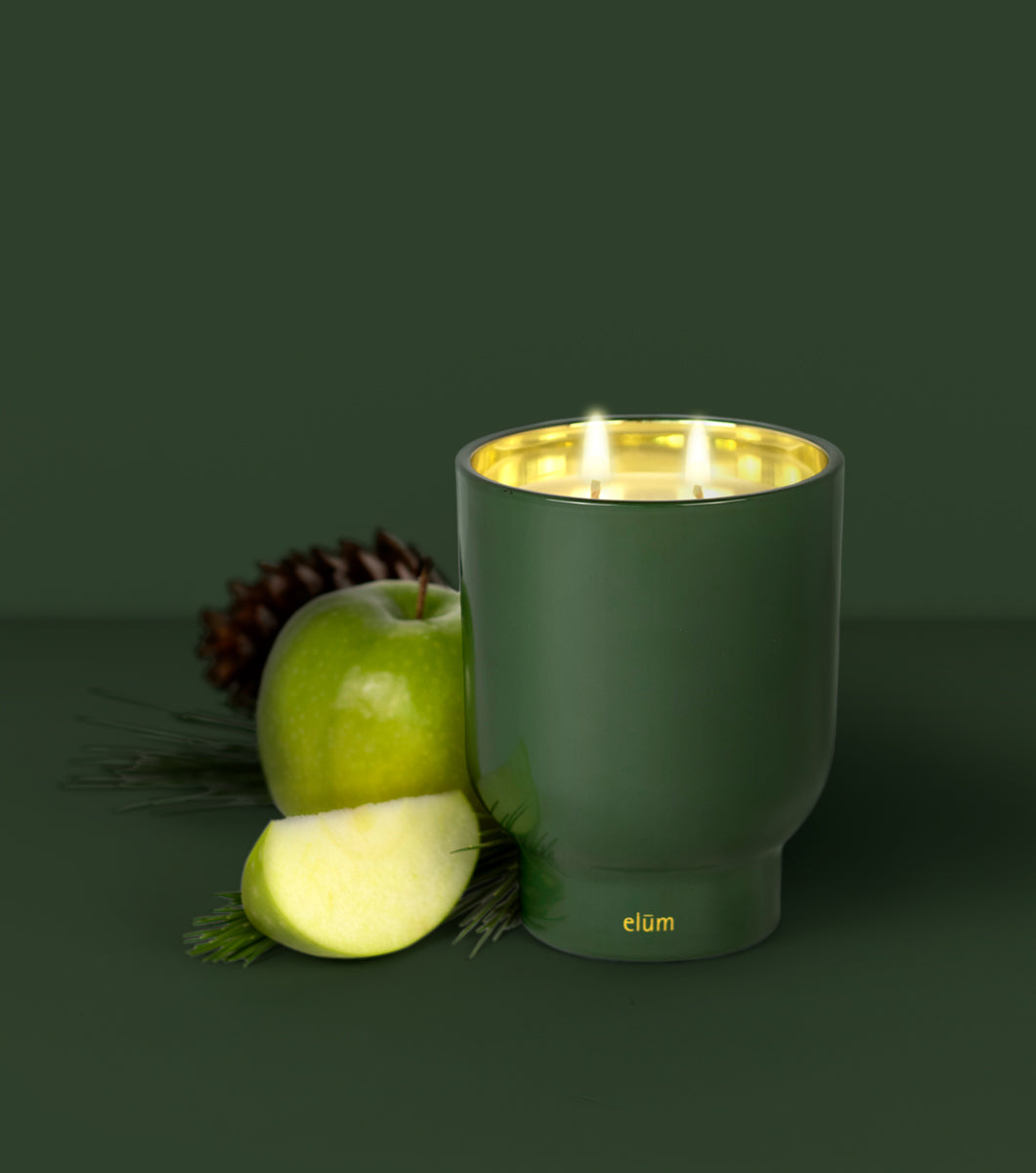Pine & Birch 21 oz Maeve Glass Candle
