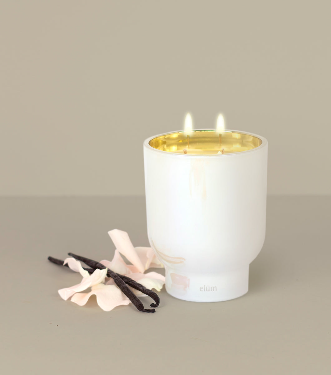 Toasted Vanilla 21 oz Maeve Glass Candle