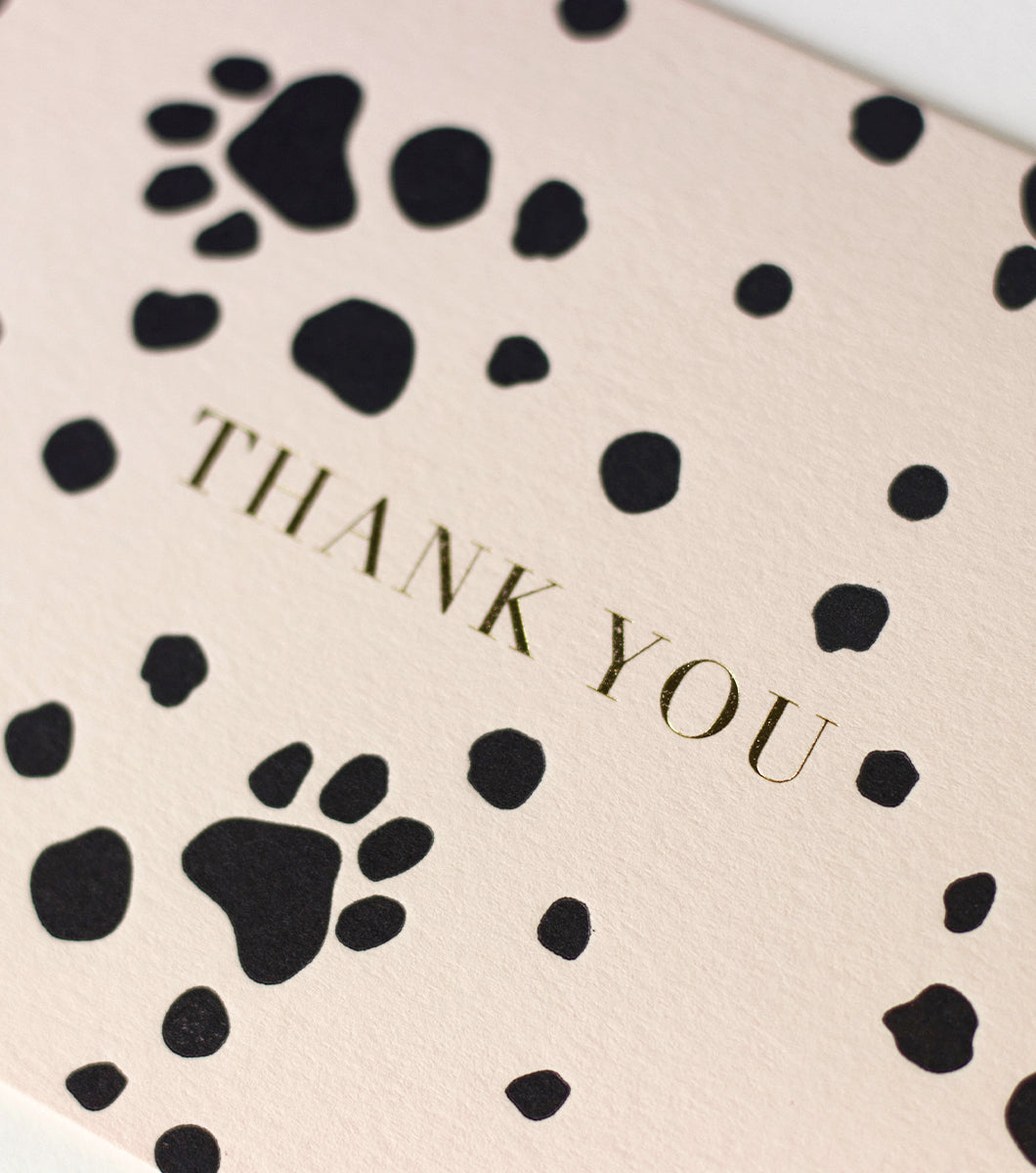 Dotty Dalmatian Boxed Notes