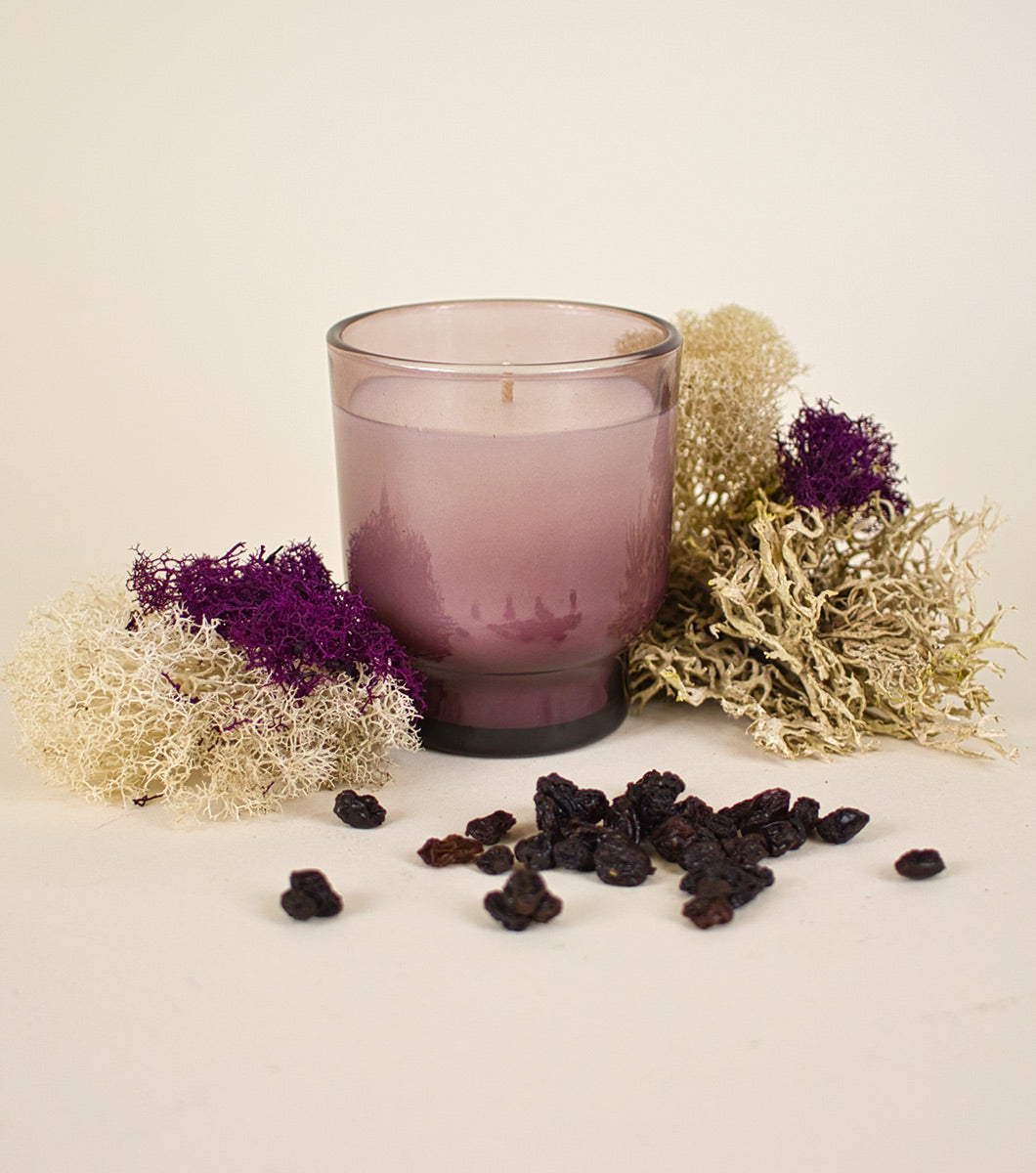 small currant and oakmoss scented candle pictured with colored mosses and dried black currants