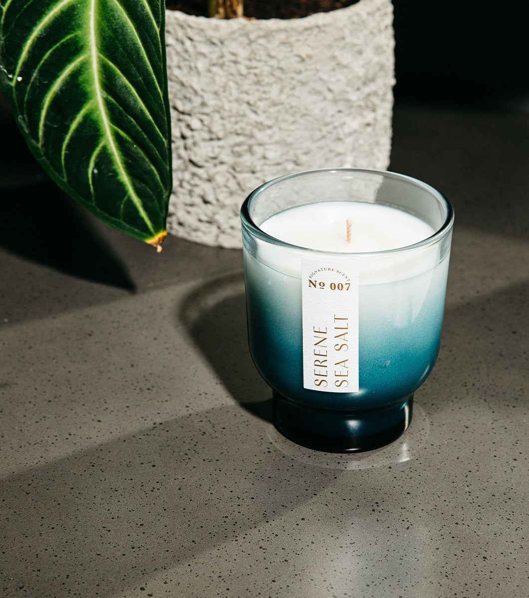 small blue serene sea salt scented candle pictured inside. a modern home with a plant