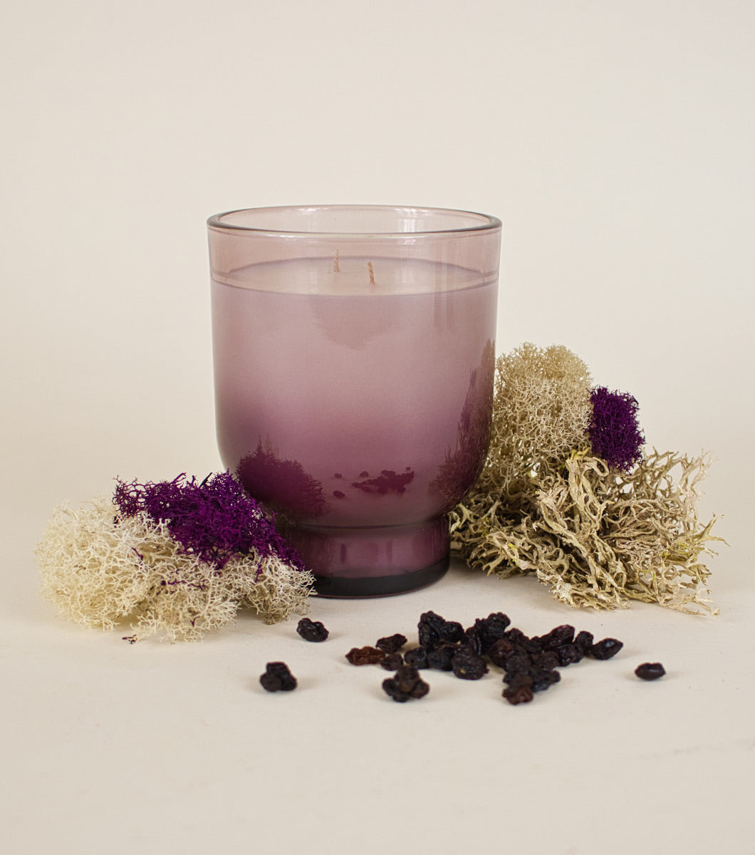 large purple currant and oakmoss cented candle pictured with colored mosses and black currants