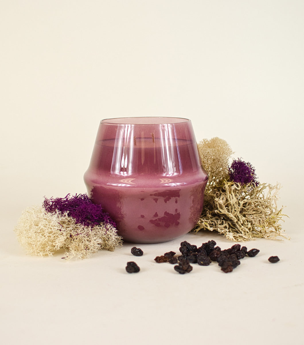 large purple currant and oakmoss scented candle pictured with colored moss and black currants