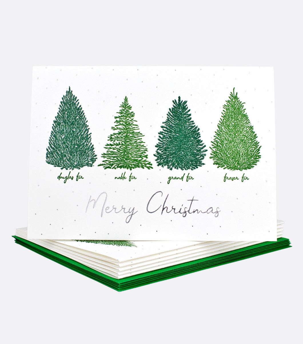 Christmas Fir Letterpress Holiday Boxed Notes - Set of 6