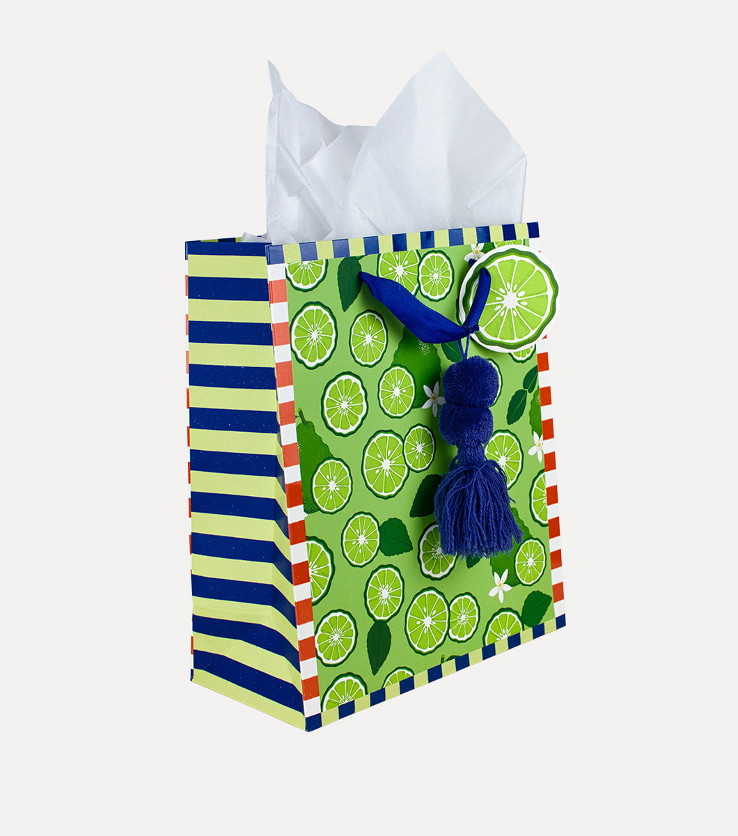 medium gift bag with navy blue tassel and designs of fresh citrus slices and a striped border 