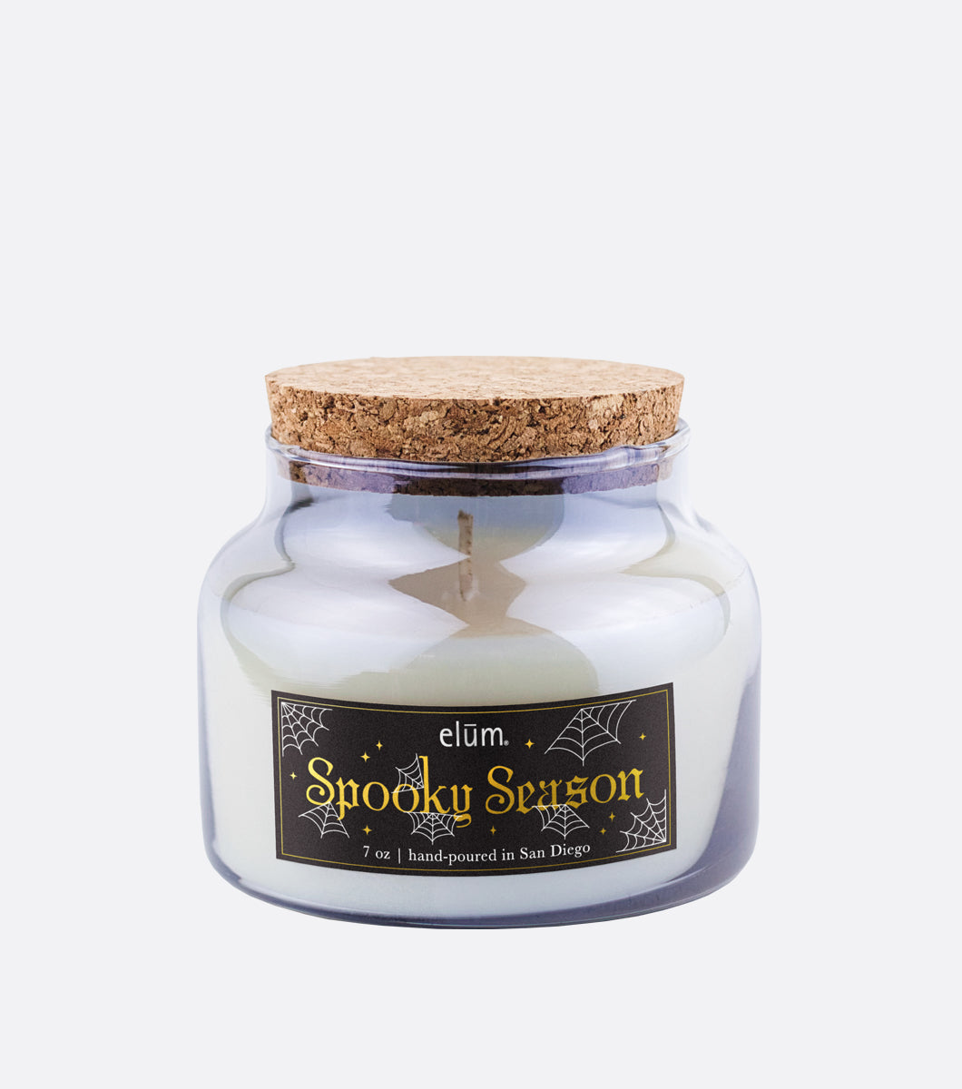 7 oz Spooky Season Potion Small Smoky Glass Candle with Cork Lid